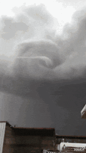 时尚炫点 “德国牌子的菜刀也不过如此,没考虑中国人会用来拍蒜吗?”