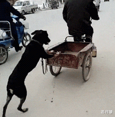 苏月瑾|“朋友说进传销里让我救他”