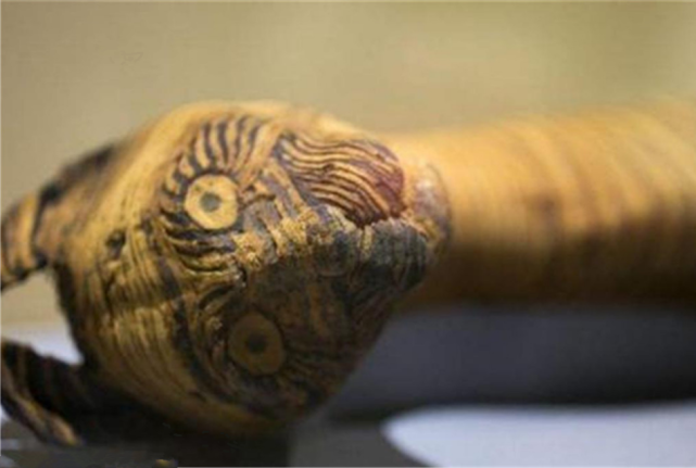 木乃伊 大量动物被制成木乃伊，科学家CT扫描后，才知有多残忍