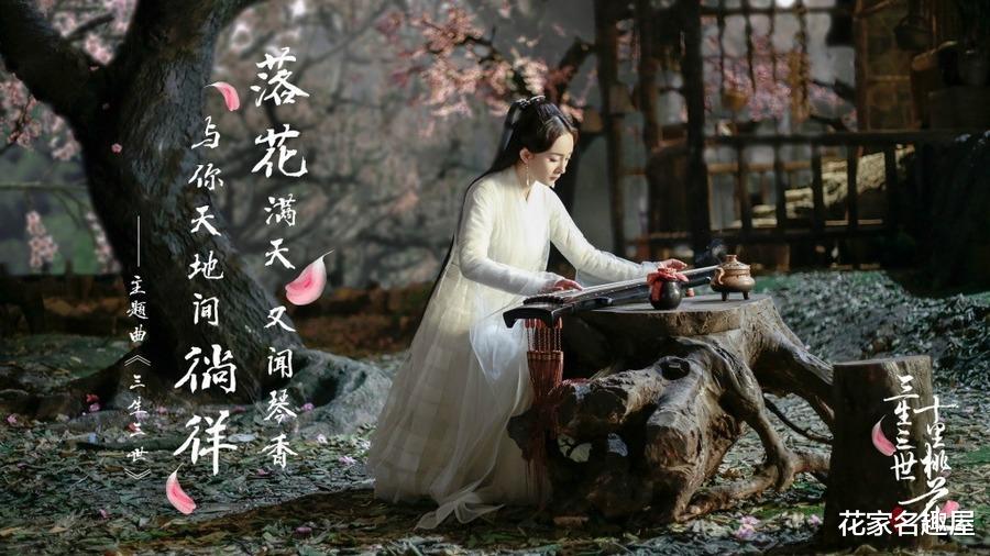 白浅|《三生三世十里桃花》桑籍为何不纳小巴蛇为妾，娶白浅为妻？