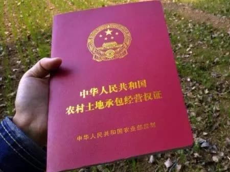 立立在京康 我家的地被确权给了邻居，咋办？