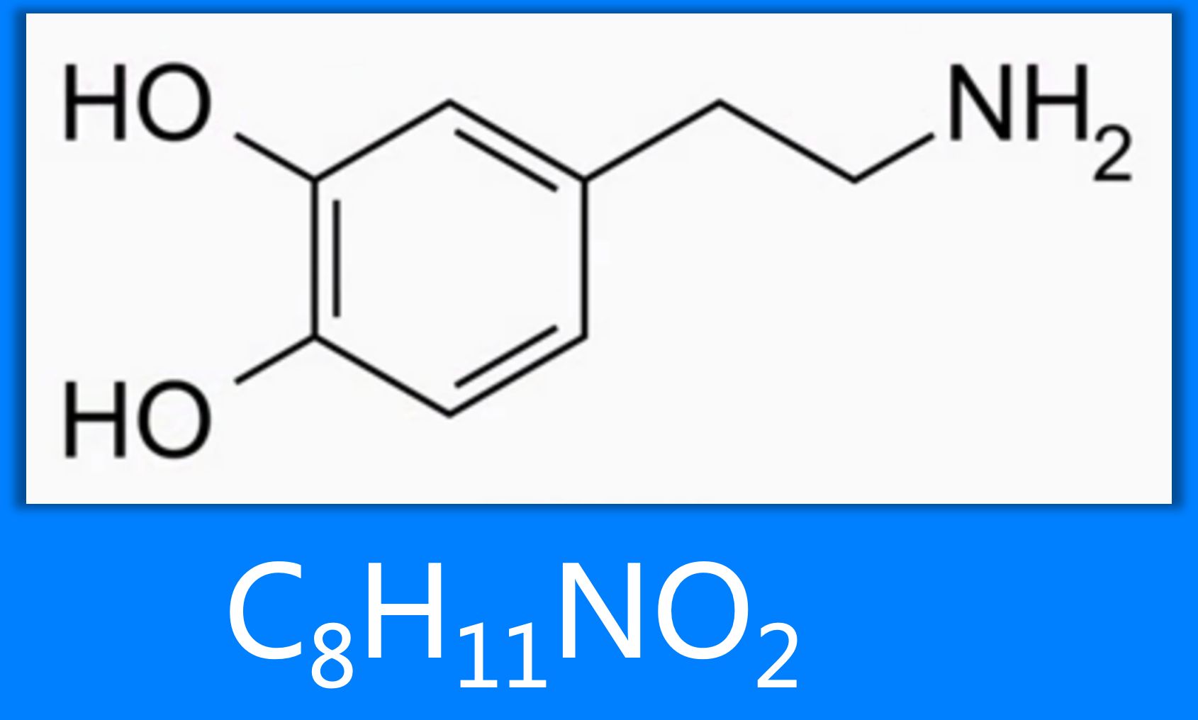 |人为什么喜欢钓鱼