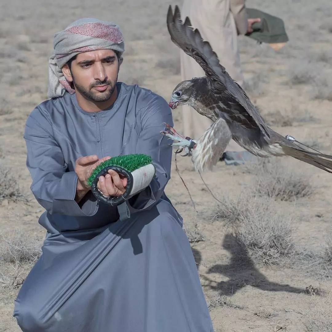 太子妃|迪拜太子妃:从小像洋娃娃一样漂亮,引来王子相争,29岁嫁给表哥