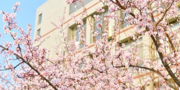 我是微笑了 潍坊医科大学呼之欲出，潍坊医学院全力冲刺，豪掷两个亿！