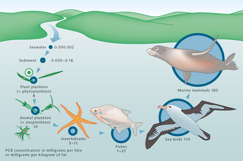 福島核廢水將在57天污染半個太平洋，污染從食物鏈底層向高層富集，漁業受影響，海魚還能吃嗎-圖9