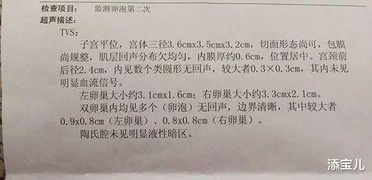 添宝儿|试管婴儿过程中监测卵泡有多关键?