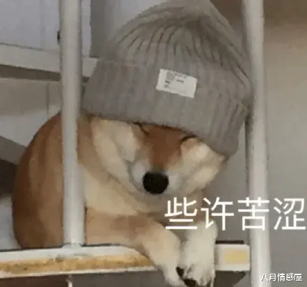 肖战|关晓彤：鹿晗真的出轨了