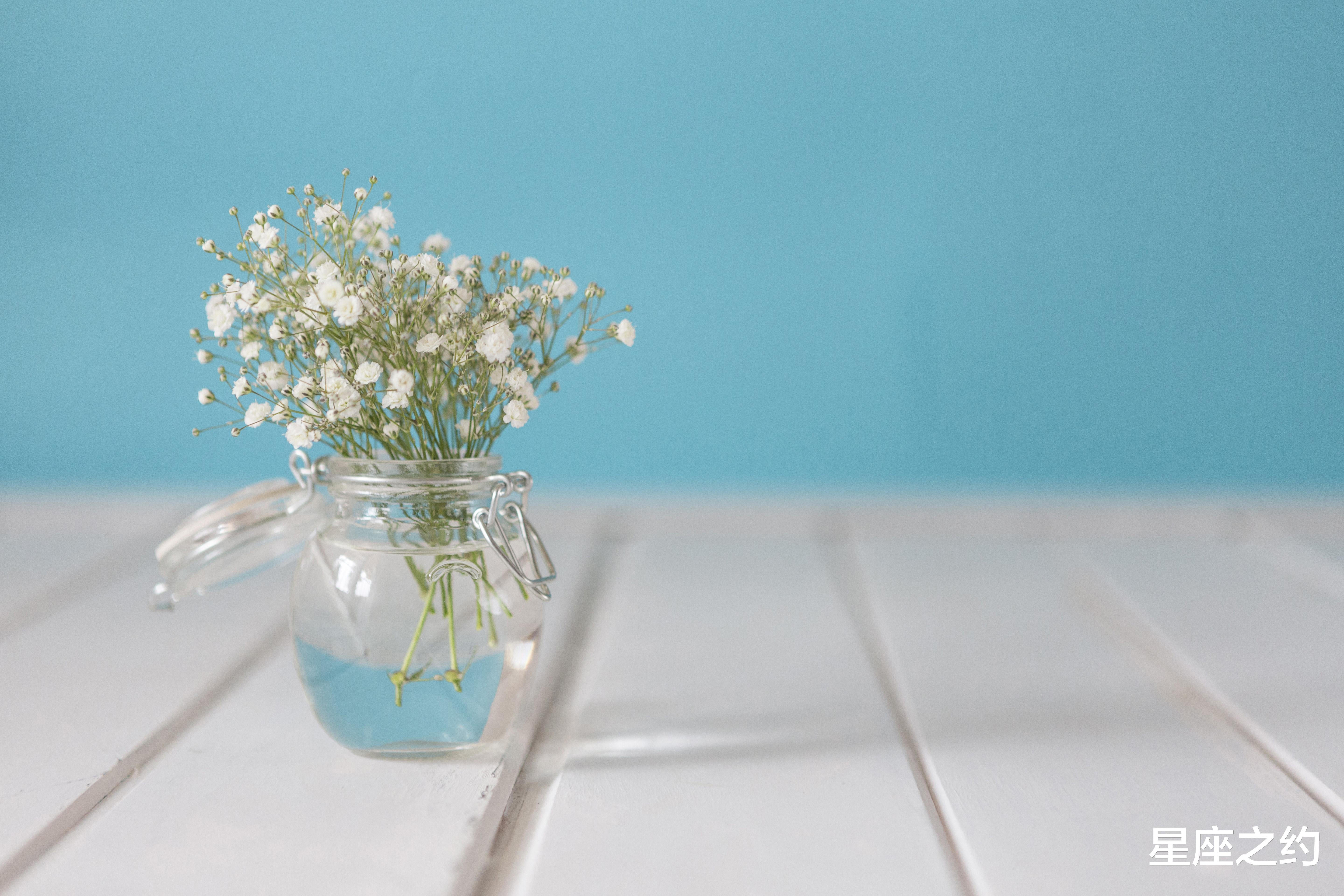 星座之约|在7月下旬，全力以赴，势如破竹，前途无量的三大星座