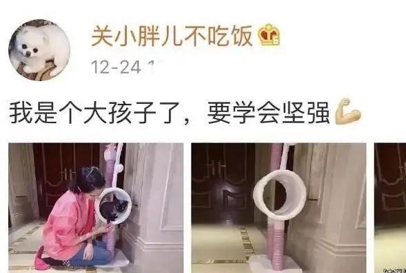 郑爽|郑爽小号曝光：明星小号背后隐藏的秘密这么多？