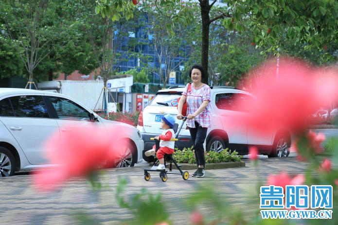 贵阳网 2021数博会开幕在即 鲜花扮靓筑城为数博添彩!