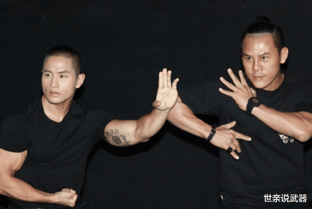 梅艳芳|当红男明星“加入”美国籍，被终生禁止入境，家人离世也不让进