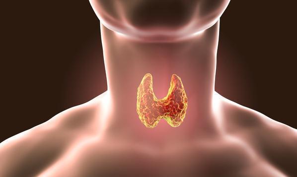甲状腺疾病|以下这“4种”水果，可以有效帮助你的甲状腺保持健康，建议了解