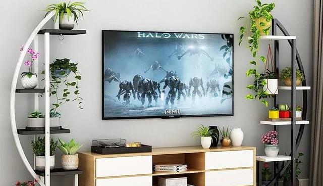 电视柜两边空旷,有4种很实用的处理方法,跟你想的一样吗?