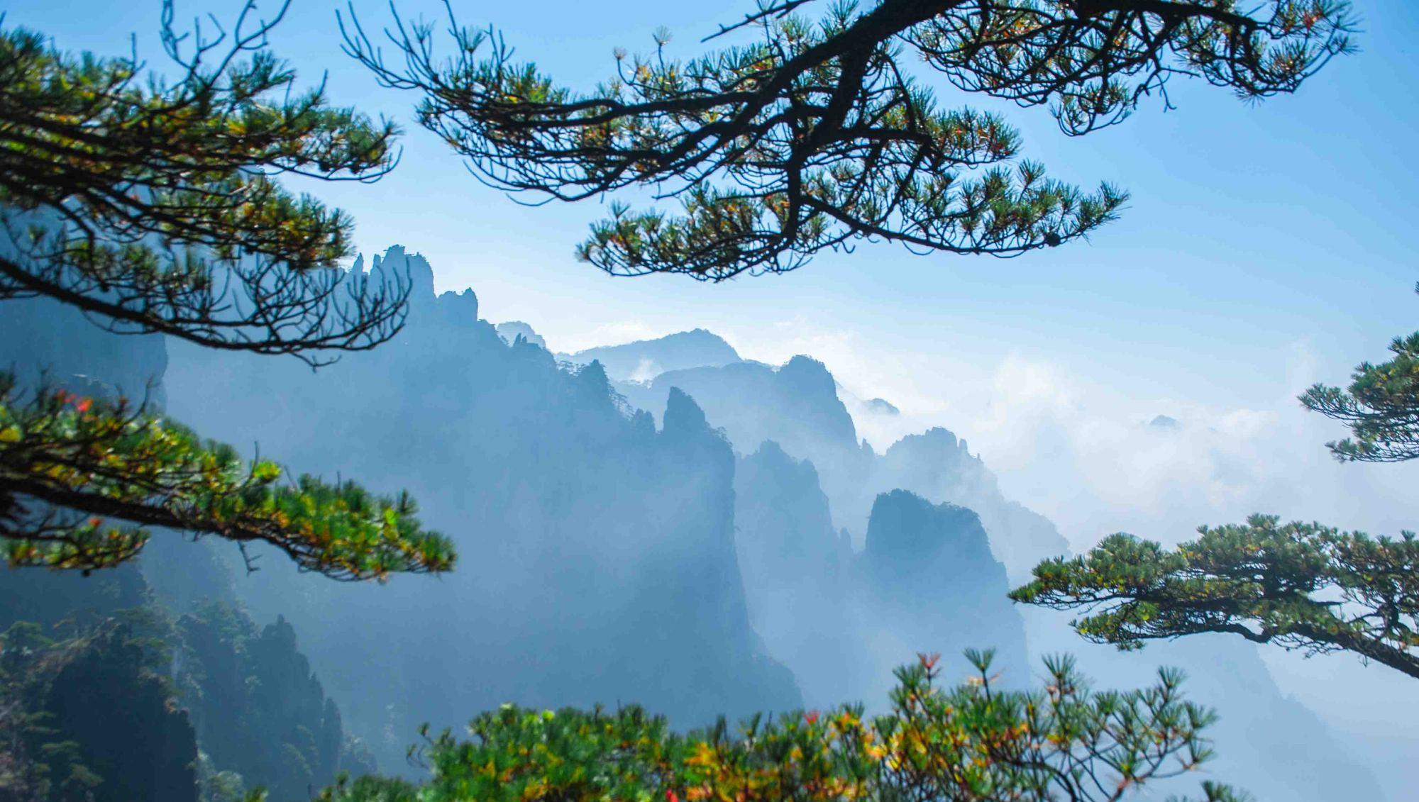 西海大峡谷|黄山一年最美的季节又要到了！超容易见到云海，错过只能再等一年