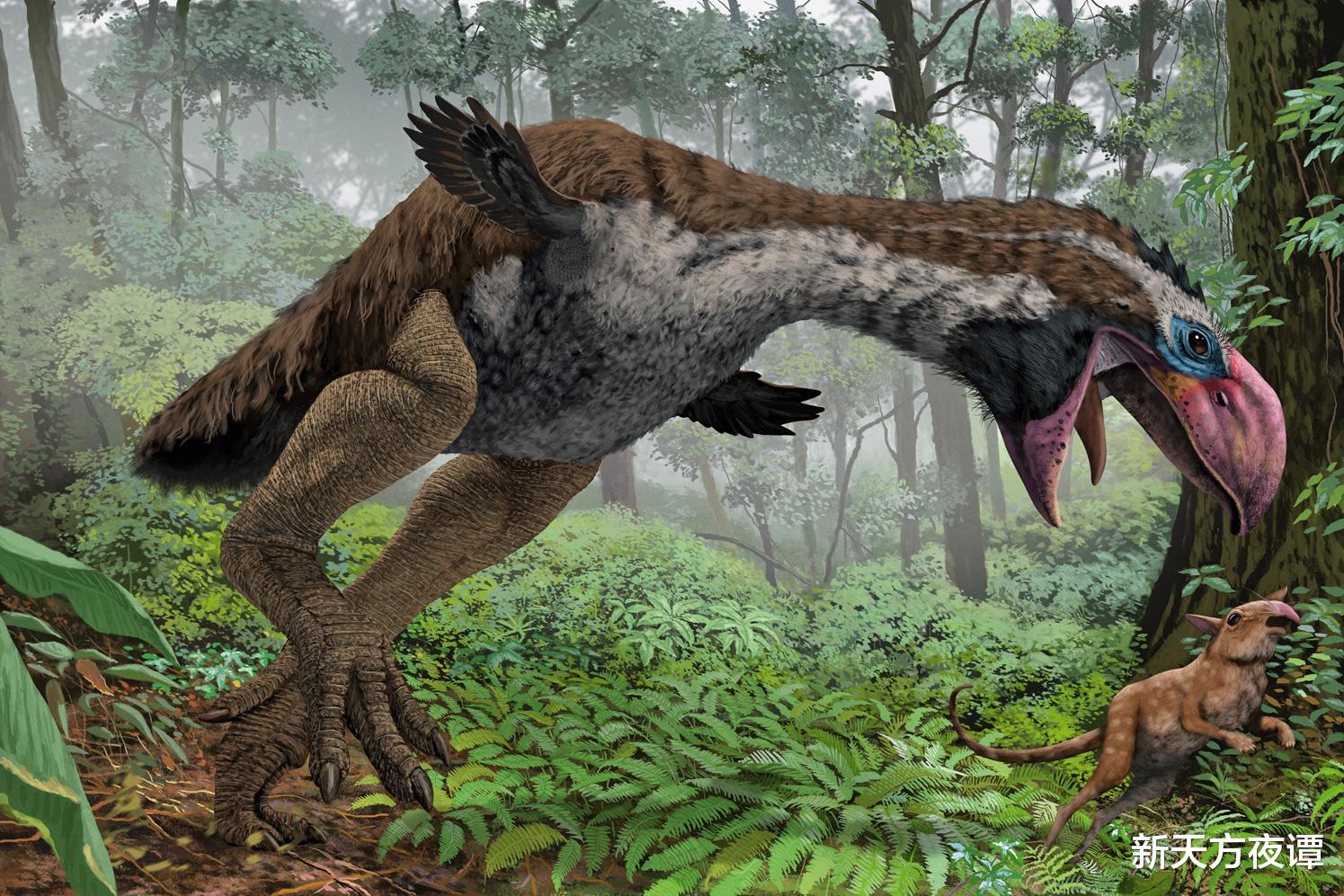 恐龙 比恐龙还可怕的史前生物，都是闻风丧胆的顶级掠食者，你知道几个？