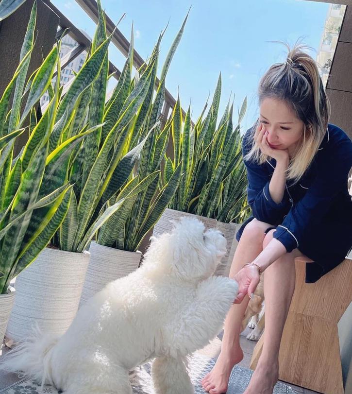 萧亚轩|萧亚轩与内小16岁男友黄皓复合,红娘居然是狗狗