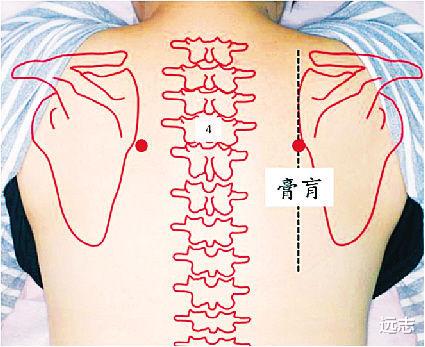 针灸|倪师说膀胱经以膏肓穴最为重要，看看是何缘由！