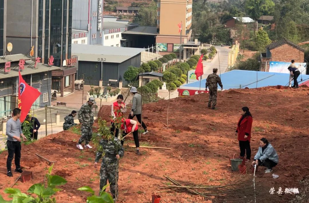 富顺快报 新春添新绿，这是荣县打开春天的正确方式