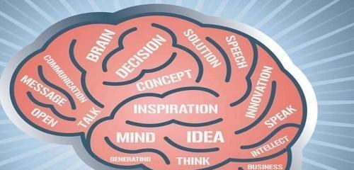 智人 人类进化史为何朝着智力发展,而不是力量型猛兽?