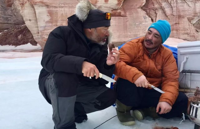 肝脏|爱斯基摩人一生只吃肉，为何不会得坏血症？真相让人反胃