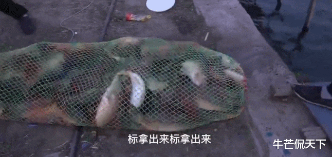 高手们|失敬，原来这才是最火的“钓系男神”