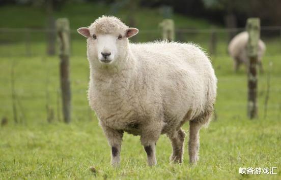 生肖|4个生肖，生肖鼠在列，近期烦恼多，机会却也不少