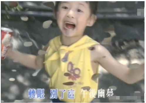 倪睿思|她是童年女神，胡彦斌的初恋，如今整容上瘾，把一手好牌打烂