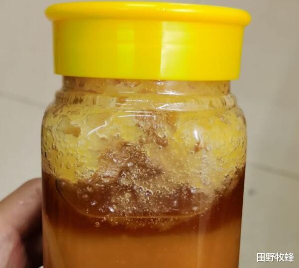 田野牧蜂|蜂蜜里的气泡是什么原因? 发酵了的蜂蜜还能吃吗?