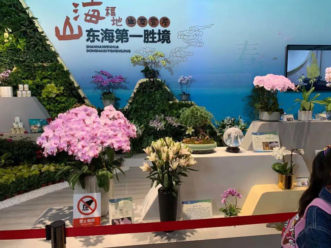 連云港手機臺 驚艷！連云港館閃耀揚州世園會