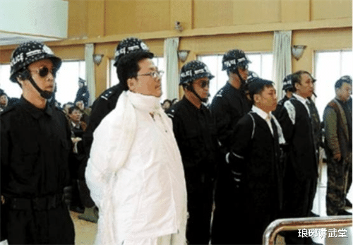 袁宝璟|“悲情才俊”袁宝璟：28岁身家37亿，33岁娶知名女星，40岁被处决