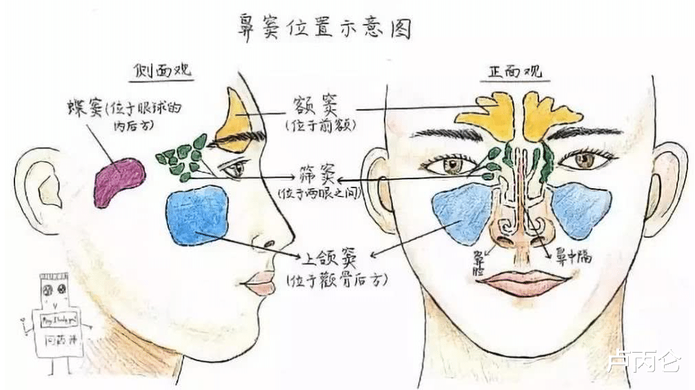卢丙仑|眉骨过于凸出怎么办？