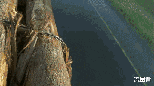 光良|20年过去，依然被它感动到流泪