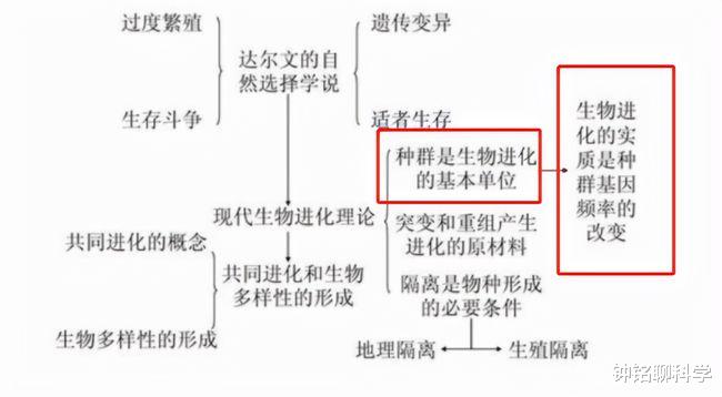 人都是女人生的,早在人类形成之前,第一个女人是怎么来的?