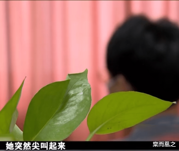 女大学生报警称被侵犯,谁知男子却说:“我才是受害者”