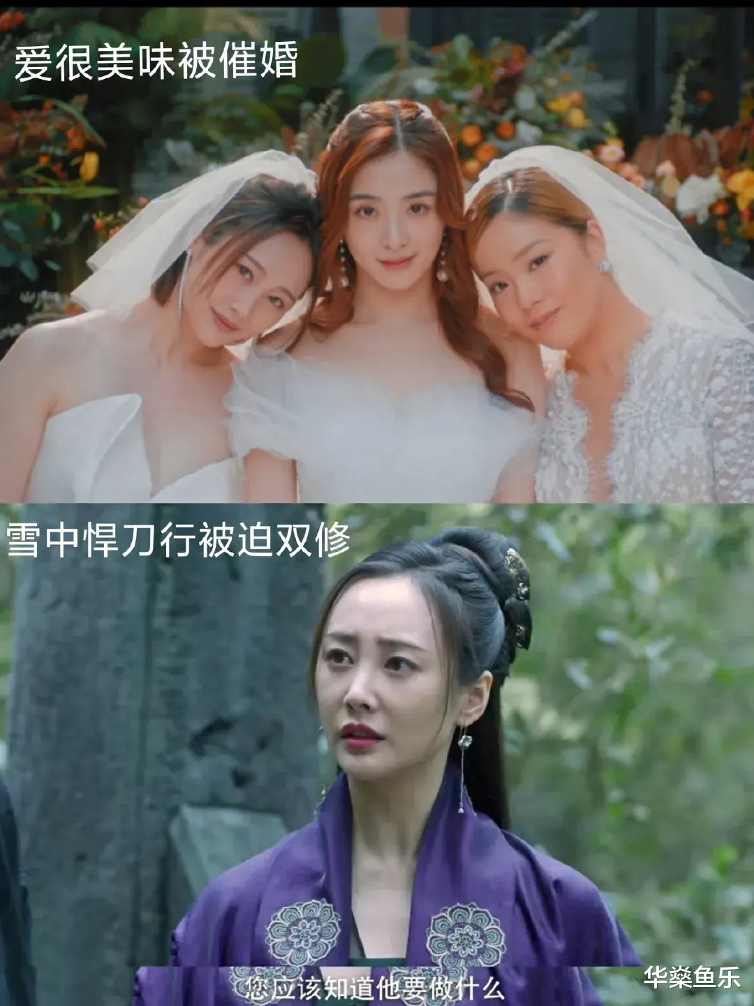 霍建华|小道星闻：吴奇隆吴尊李晨、王菊张含韵李纯、霍建华、黄磊