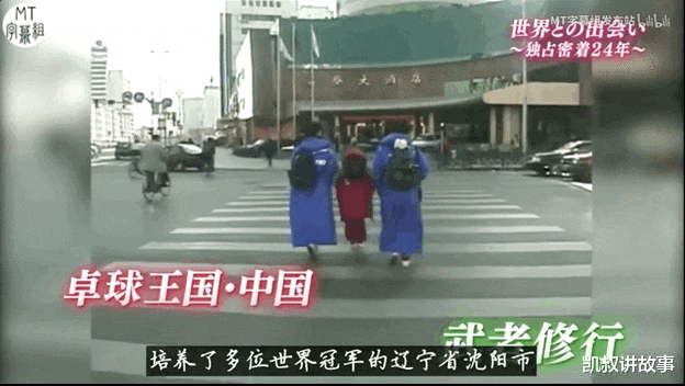 凯叔讲故事|福原爱离婚后,母亲身份曝光,网友:有这样的家庭,我放心了!