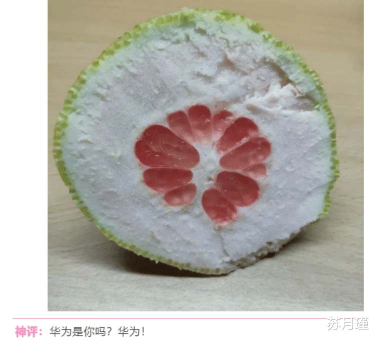 |“酒店卫生间开始有这种椅子了？这设计用来干什么的？”