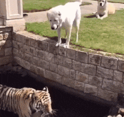  姑娘穿紧身裙注意点，一不小心就会原形毕露，亮点都被暴露了！