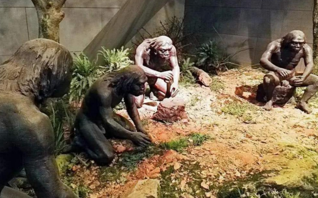 从5万年前的两个人,到现在76亿人,地球上一共出现过多少人?
