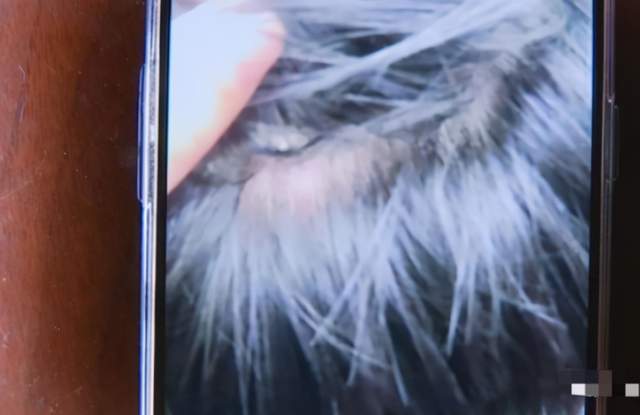 亞洲播報一姐 安徽一老師疑醉酒后虐待學生，拿熱水潑學生，相關部門已介入