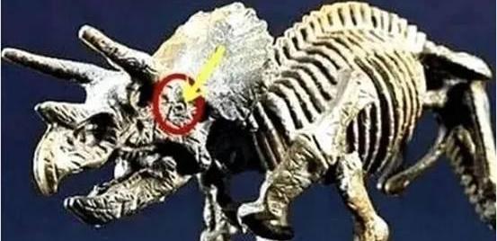 恐龙|恐龙头骨化石发现“子弹孔”，6500万年前，是谁对它开了一枪？