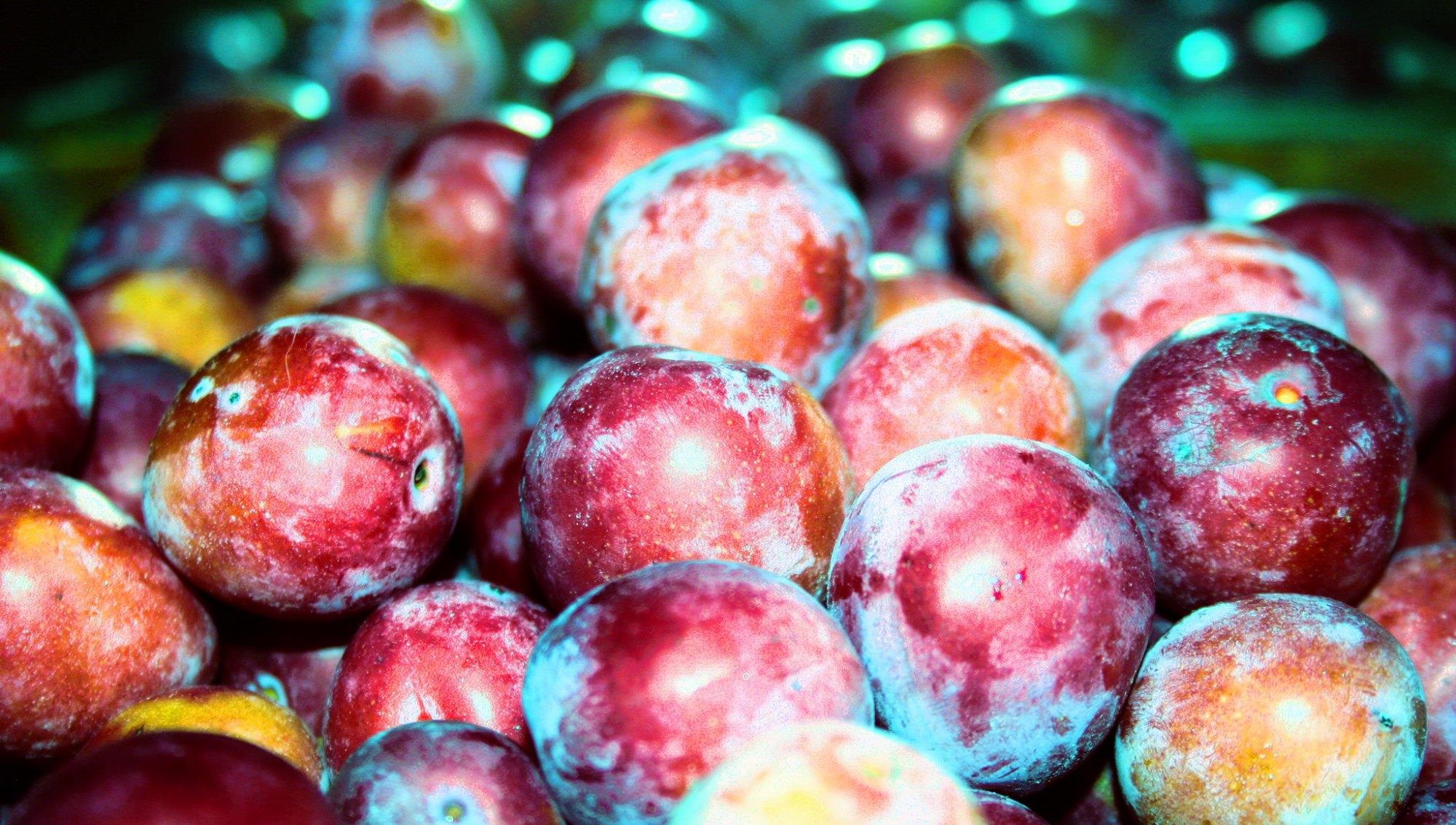 长脖子爸比说|四川重庆是一家：除共同热爱的火锅外，这道夏天美食也拒绝不了