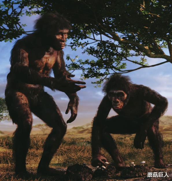 工艺品 ?化石中的“工艺品”，挑战人们的认知，远古的“地球人”是谁？