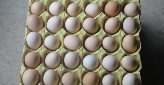 鸡蛋|有了肺结节不能吃鸡蛋?呼吸科主任提醒:多喝1水,吃2果才是重点