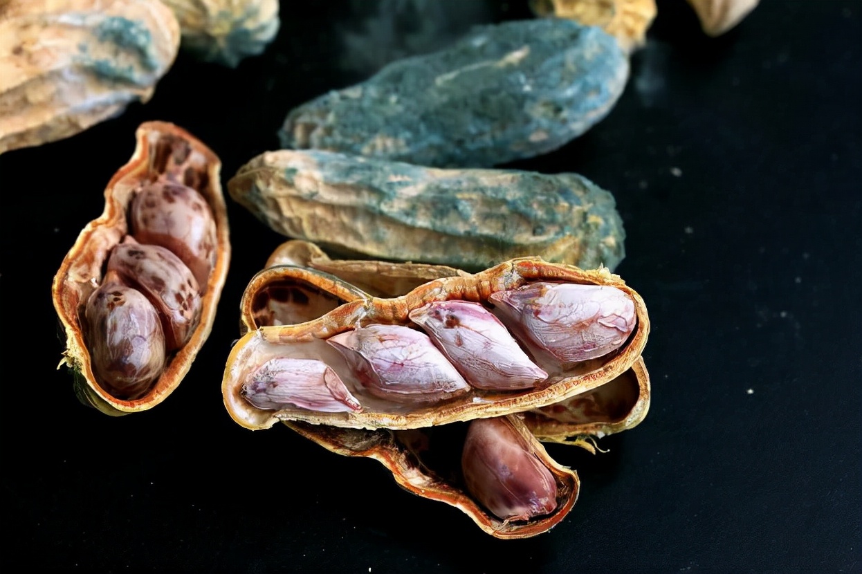 胃病|世卫组织呼吁:“1粗粮”或是胃病“加速器”,不想胃伤透,趁早扔