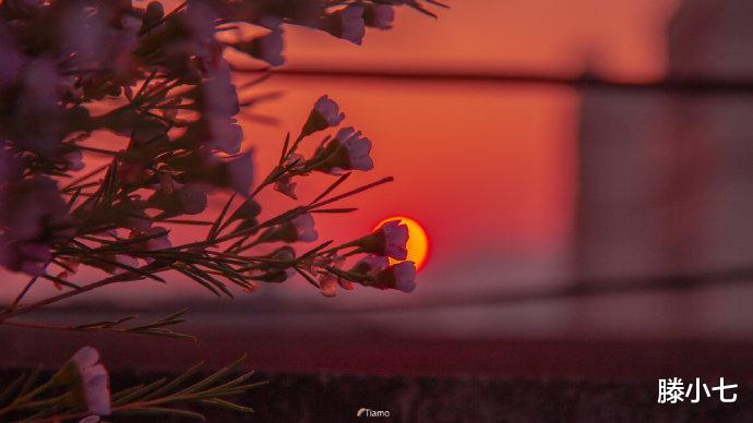 滕小七|其实我真的努力过的，但是我还是输了