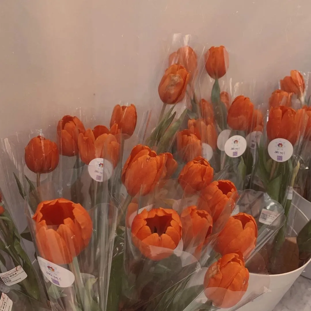 辰冉同学|和夏天告别，与秋风相拥