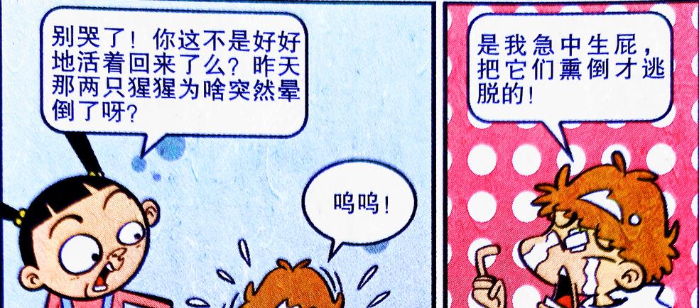 成为“猩猩之子”是种怎样的体验?小衰:我当时害怕极了