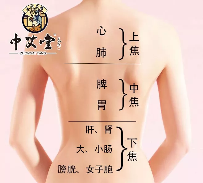 肾结石|你的“背”泄露你的“病”！赶紧看一看~