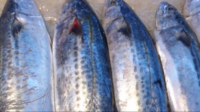 才发现“这4种鱼”都是深海鱼,超市看见别手软,一次买10斤